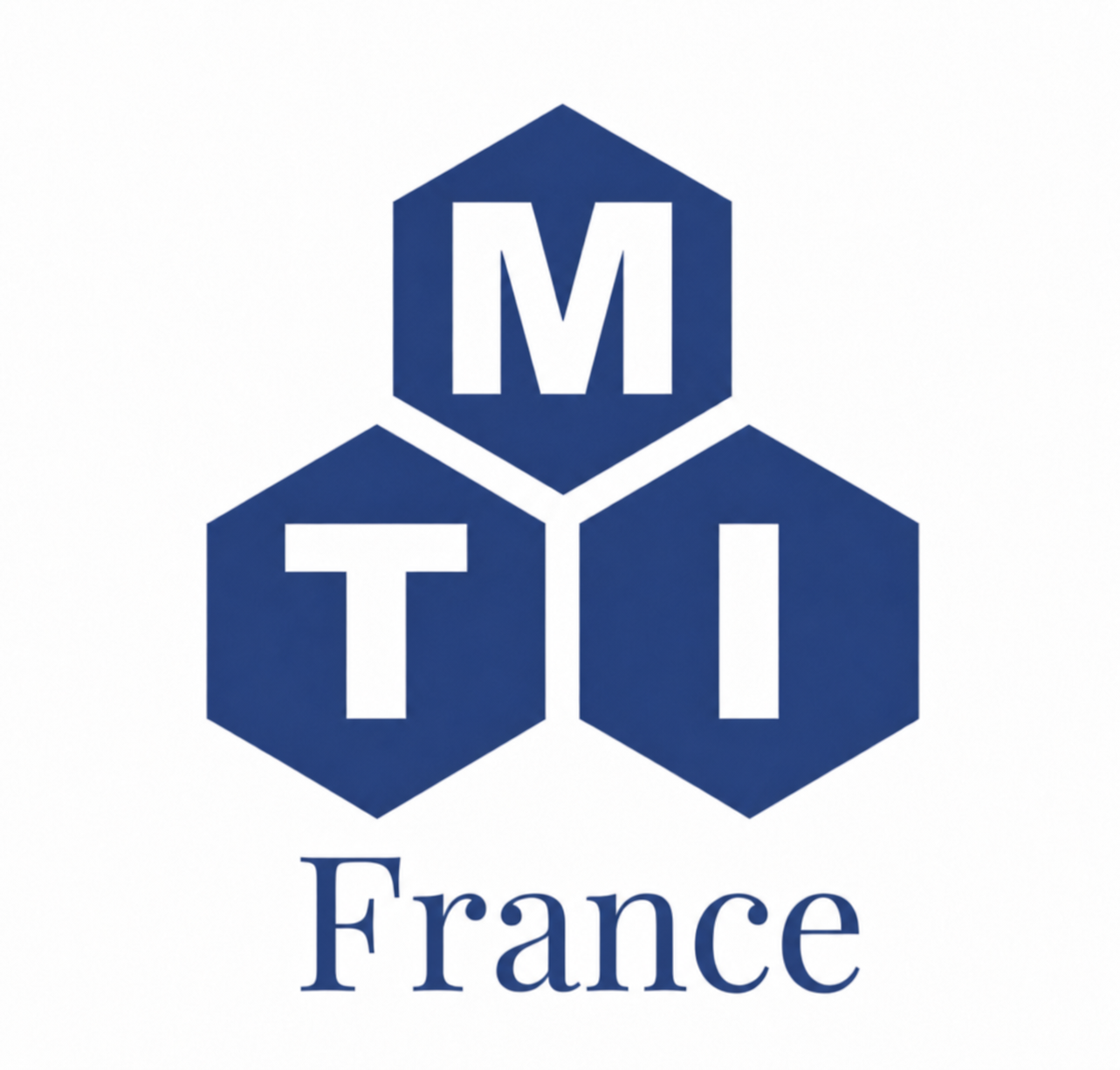 MTI France logo